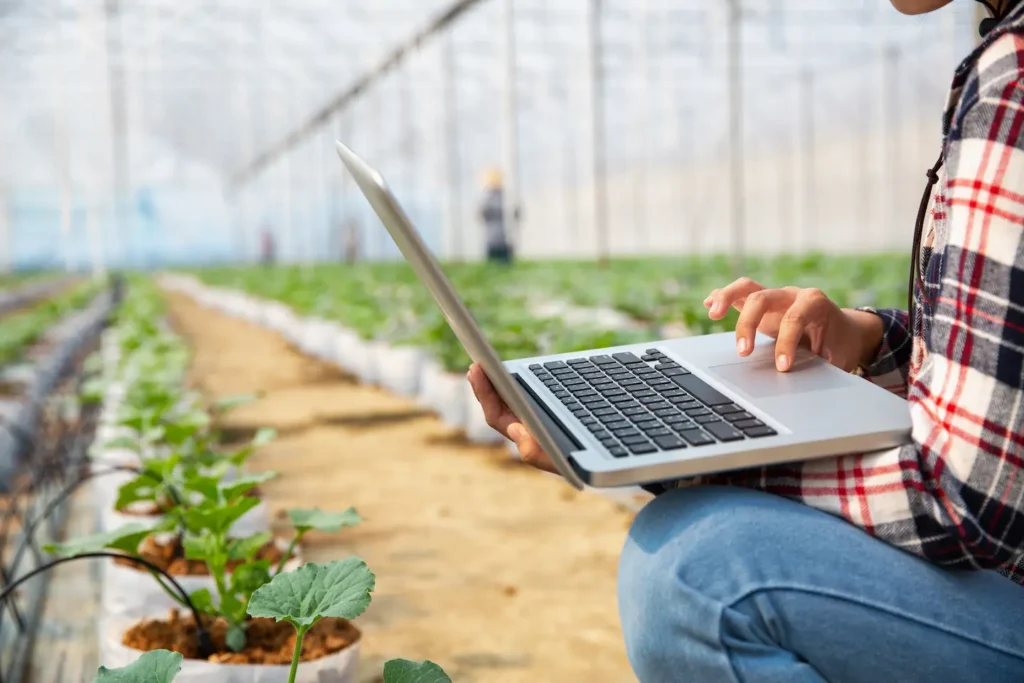 agrobiznes, kierunki studiów, na jakie studia?