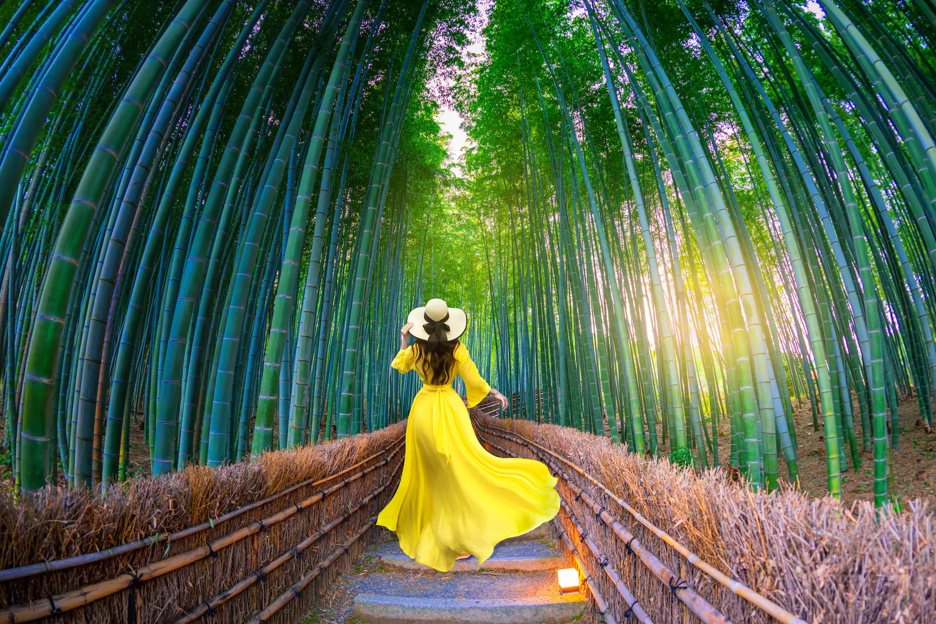 Perfekcyjna sukienka na obronę – wybierz idealny strój na ważny dzień